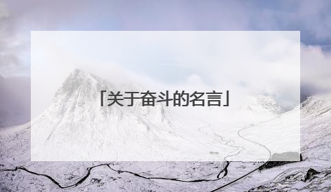 关于奋斗的名言