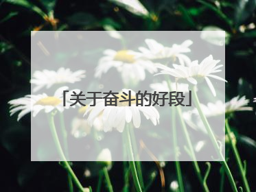 关于奋斗的好段