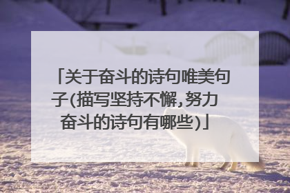 关于奋斗的诗句唯美句子(描写坚持不懈,努力奋斗的诗句有哪些)