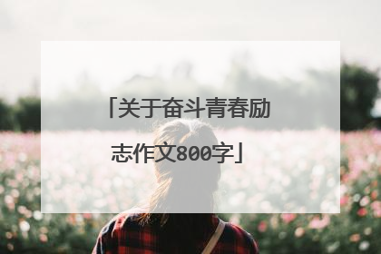 关于奋斗青春励志作文800字