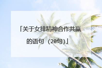 关于女排精神合作共赢的语句 (20句)