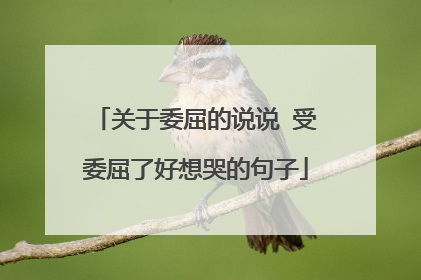 关于委屈的说说 受委屈了好想哭的句子