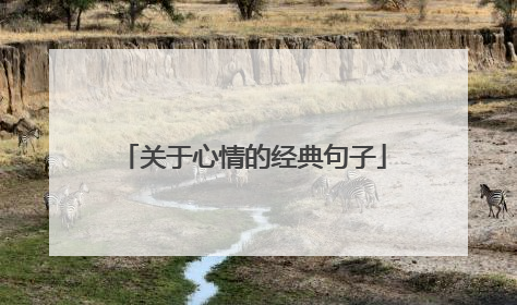 关于心情的经典句子