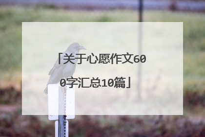 关于心愿作文600字汇总10篇