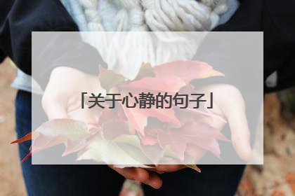 关于心静的句子