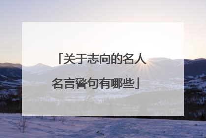 关于志向的名人名言警句有哪些