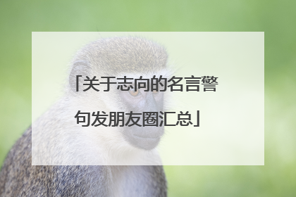关于志向的名言警句发朋友圈汇总
