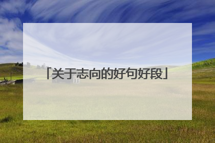 关于志向的好句好段