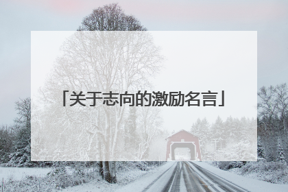 关于志向的激励名言