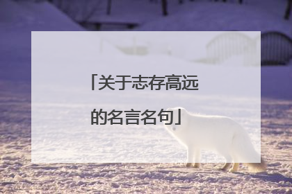 关于志存高远的名言名句