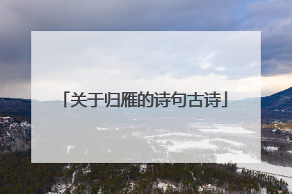 关于归雁的诗句古诗