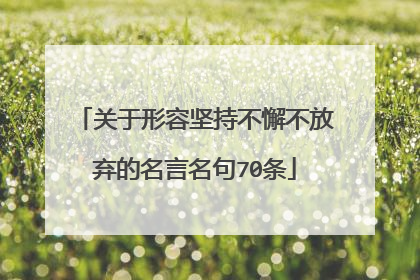 关于形容坚持不懈不放弃的名言名句70条