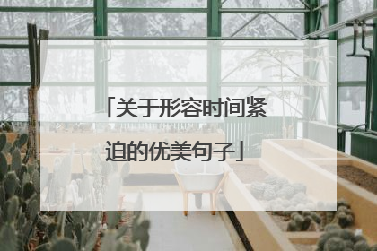 关于形容时间紧迫的优美句子