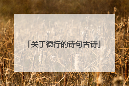 关于德行的诗句古诗