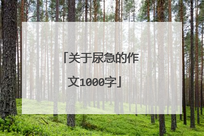 关于尿急的作文1000字