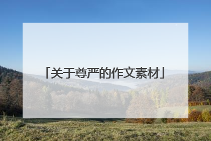 关于尊严的作文素材