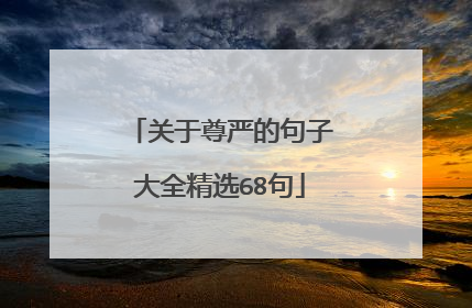 关于尊严的句子大全精选68句