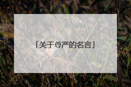 关于尊严的名言