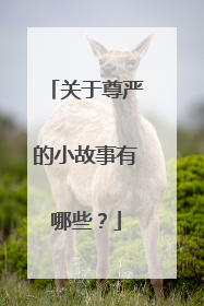 关于尊严的小故事有哪些?