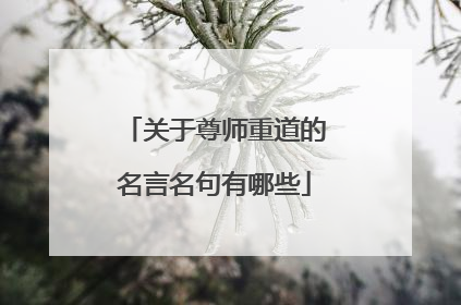 关于尊师重道的名言名句有哪些