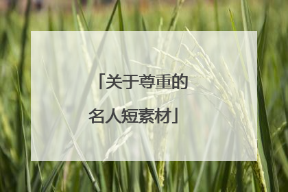 关于尊重的名人短素材