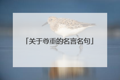 关于尊重的名言名句