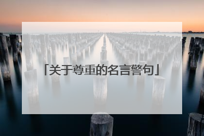 关于尊重的名言警句