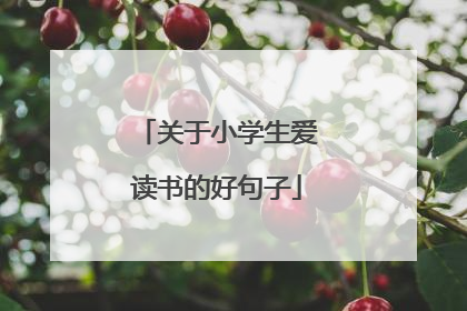 关于小学生爱读书的好句子