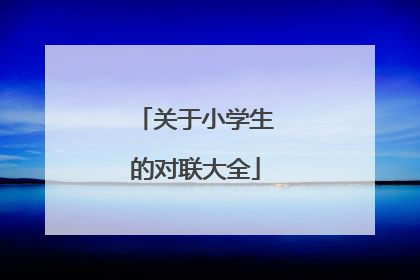 关于小学生的对联大全