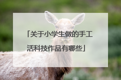 关于小学生做的手工活科技作品有哪些