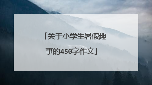关于小学生暑假趣事的450字作文
