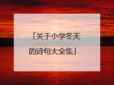 关于小学冬天的诗句大全集
