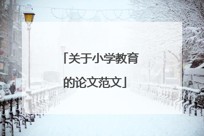 关于小学教育的论文范文