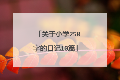 关于小学250字的日记10篇