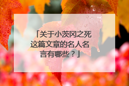 关于小茨冈之死这篇文章的名人名言有哪些?