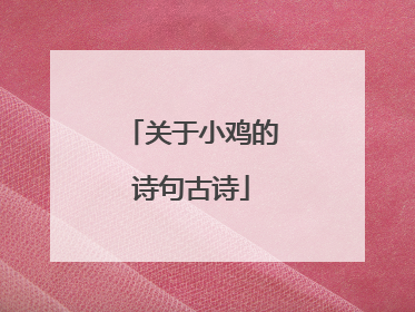 关于小鸡的诗句古诗