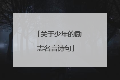 关于少年的励志名言诗句