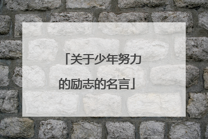关于少年努力的励志的名言