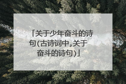 关于少年奋斗的诗句(古诗词中,关于奋斗的诗句)