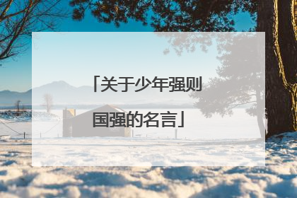 关于少年强则国强的名言
