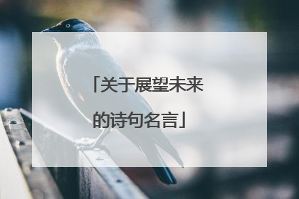 关于展望未来的诗句名言