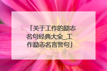 关于工作的励志名句经典大全_工作励志名言警句