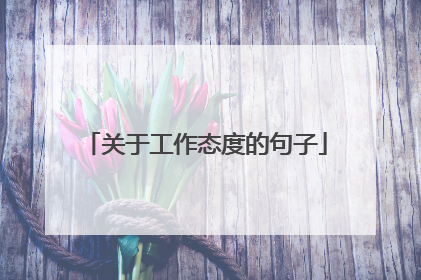 关于工作态度的句子