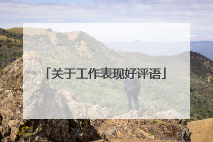 关于工作表现好评语