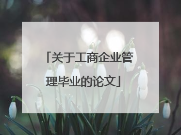 关于工商企业管理毕业的论文