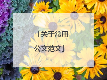 关于常用公文范文