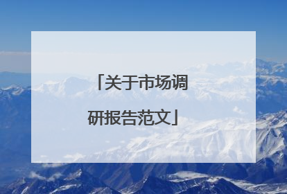 关于市场调研报告范文