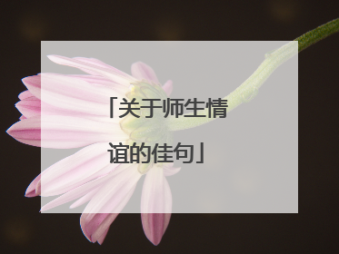 关于师生情谊的佳句