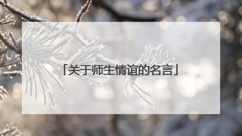 关于师生情谊的名言