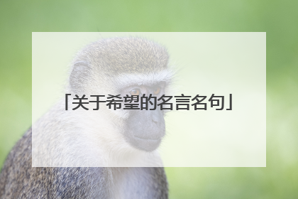 关于希望的名言名句